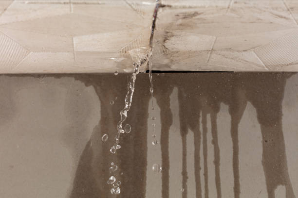 Professional Water Damage Repair technician working in Dublin, OH